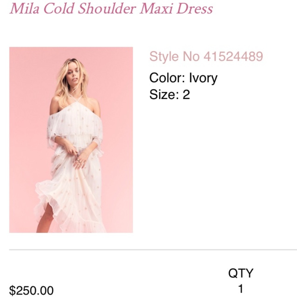 [worn once] Free People Maxi
